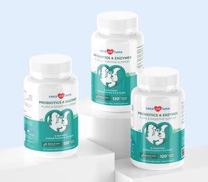 Probióticos y enzimas para perros: paquete de 3 (360 comprimidos masticables) 