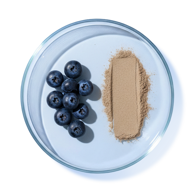 BILBERRY & GRAPE SEED EXTRACT