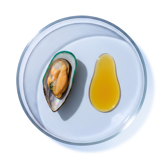 GREEN LIPPED MUSSEL & OMEGA-3