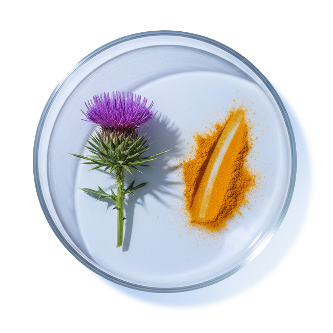 MILK THISTLE & CURCUMIN