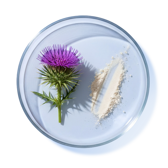 MILK THISTLE & SAMe