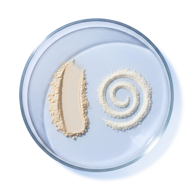 GUT HEALTH BLEND & PROBIOTICS