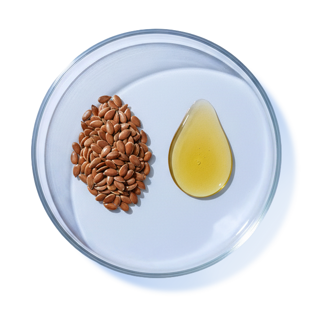 FLAXSEED