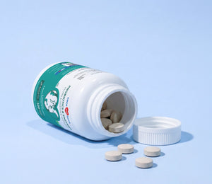 Probiotics & Enzymes