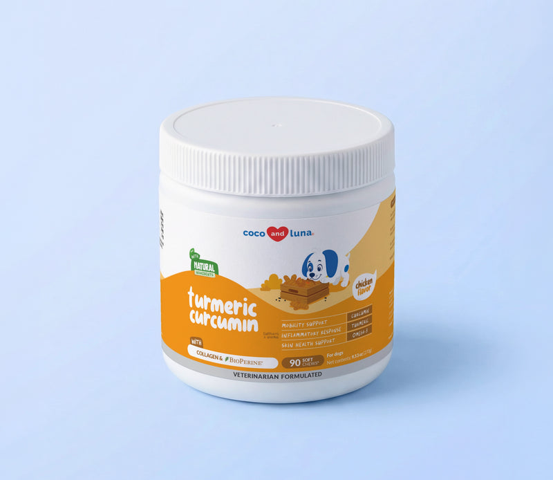 Turmeric for Dogs