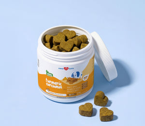 Turmeric for Dogs