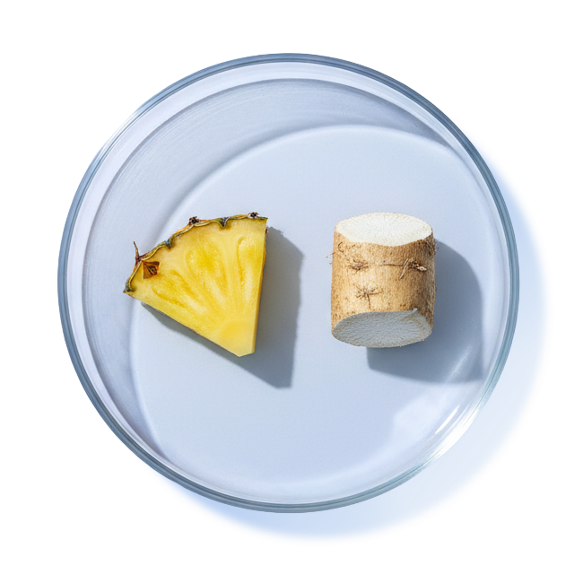 BROMELAIN & MARSHMALLOW ROOT