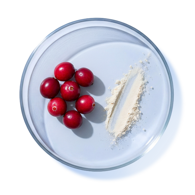 CRANBERRY & D-MANNOSE
