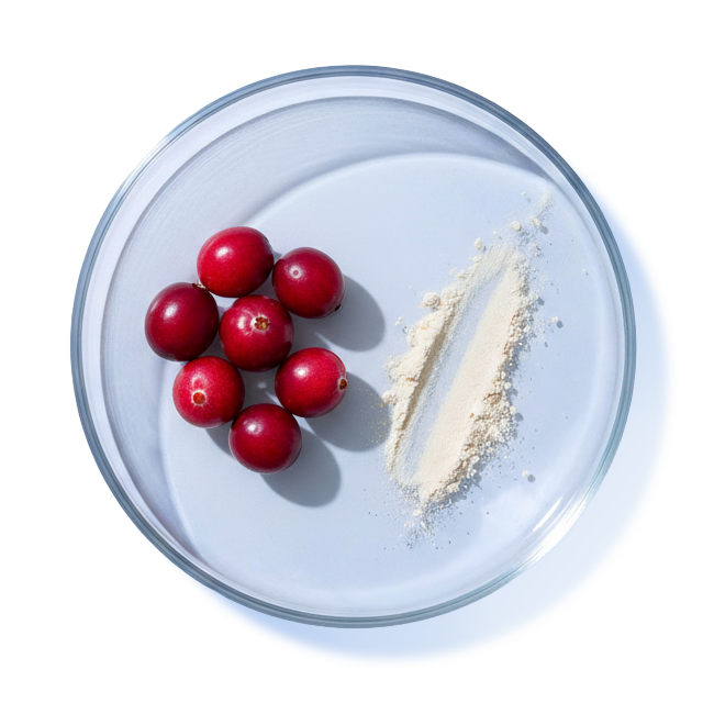 CRANBERRY & D-MANNOSE
